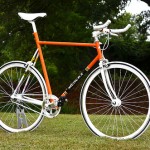 Le single speed Orange : pourquoi faire ?