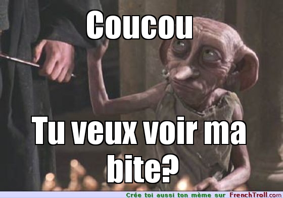 Coucou tu veux voir ma bite - meme Harry Potter